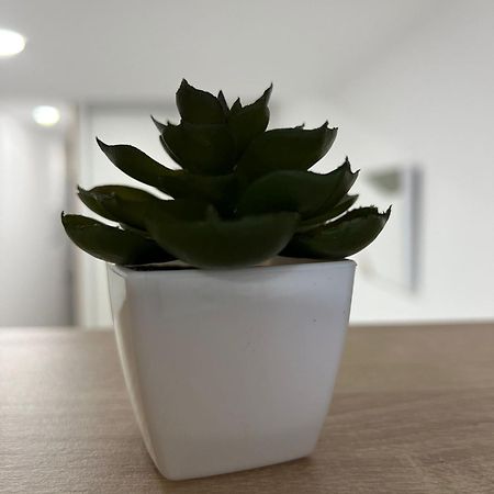 White House Apartman Castellón de la Plana Kültér fotó
