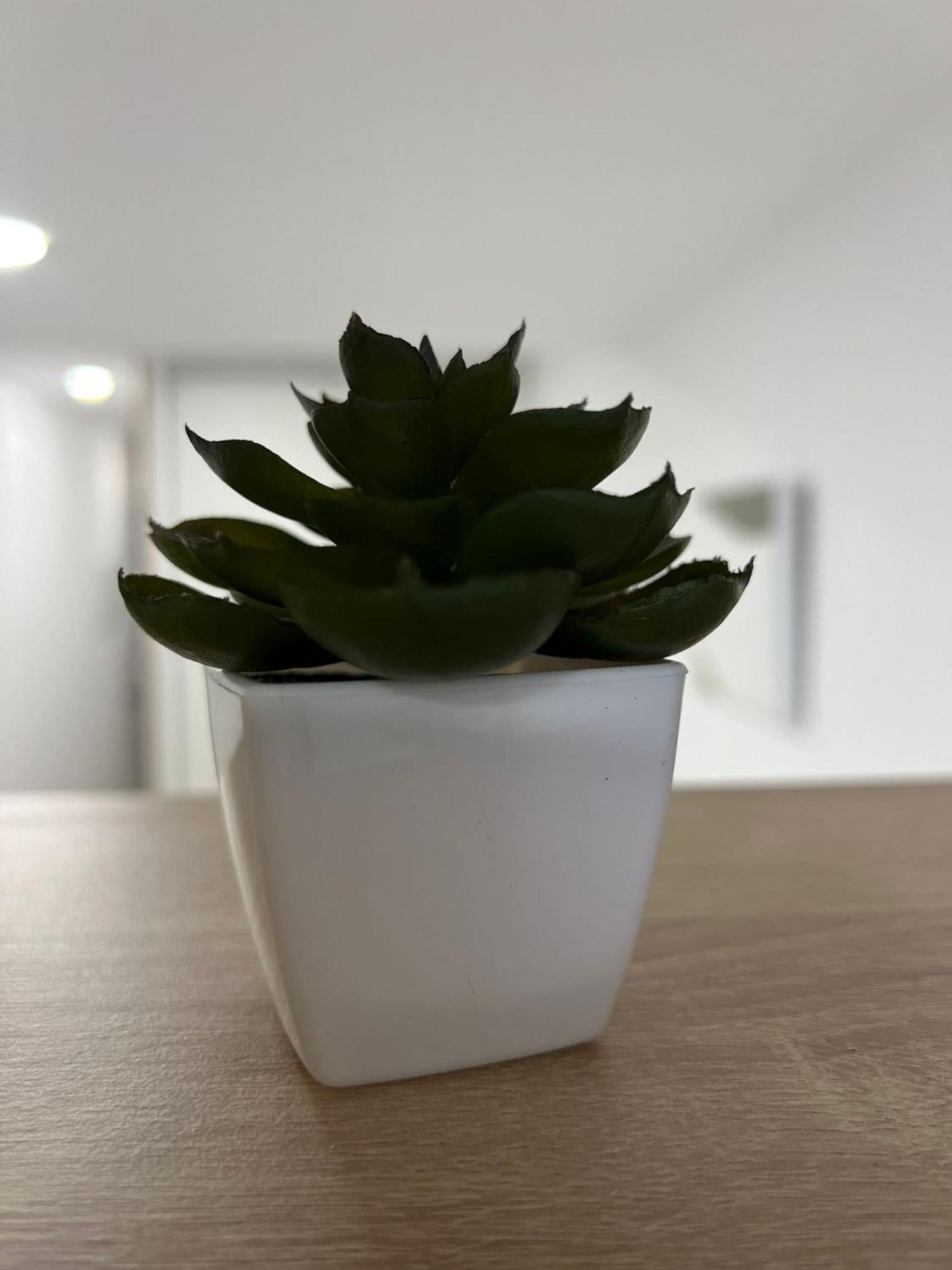 White House Apartman Castellón de la Plana Kültér fotó